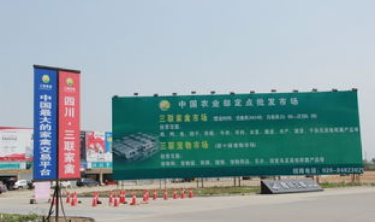 成都家禽批发市场价格 成都三联家禽市场