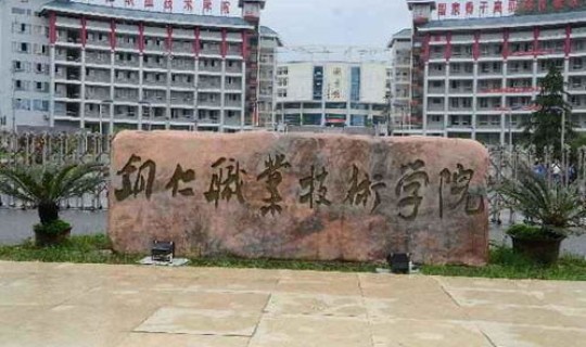 贵州铜仁职业技术大学代码(贵州大学科技学院代码)