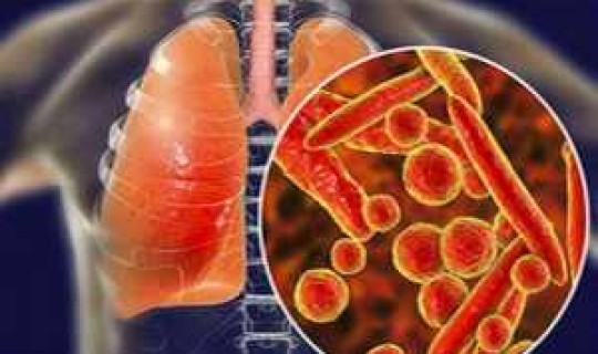 北京今天新冠肺炎几例，北京新一轮病毒