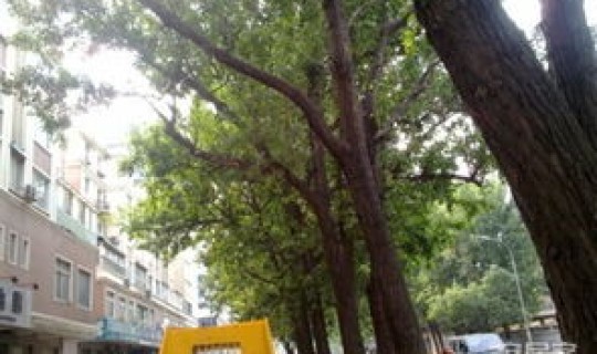 大连市小区封闭 大连10大好小区