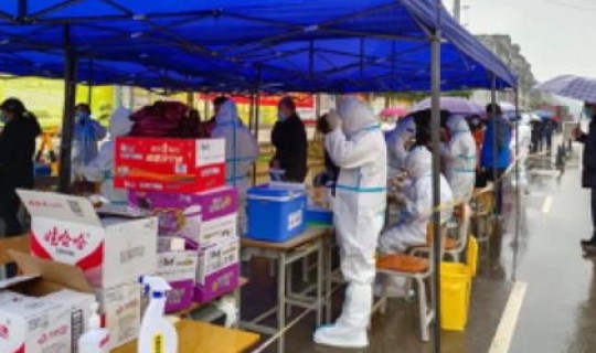 百色疫情防控新闻发布会直播，百色新闻网