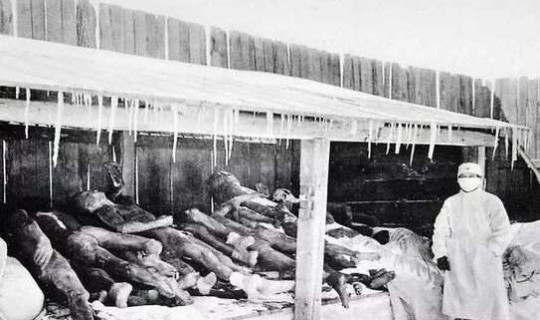 近期发生的鼠疫 鼠疫是哪一年发生的