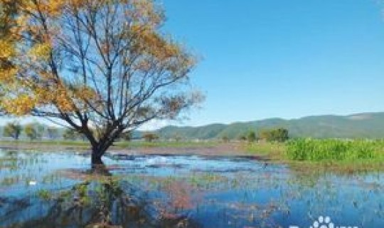 清明节游玩好去处？清明节出去旅游合适吗