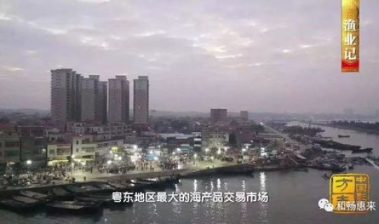 惠来县百度百科(封开县百度百科)