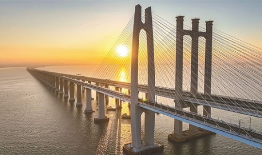 天津大桥道官网(天津大桥道改良月饼网上在哪买)