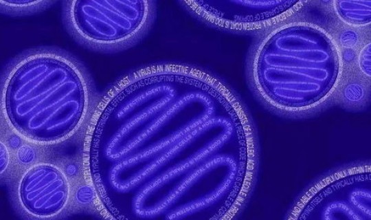 哈尔滨发现一例病毒，哈尔滨最近流行病毒