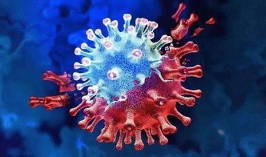 病毒变异后其存活时间会变吗 病毒变异速度有多快