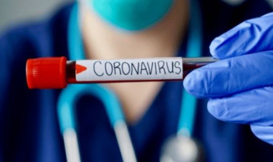 感染33人 感染爆发是几例