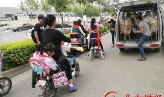 武汉不让进城(武汉现在不让外地车进城吗)