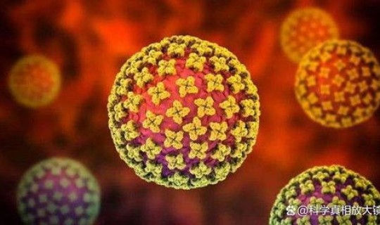 第一例新冠病毒感染者是谁？新冠病毒首例出现在哪里