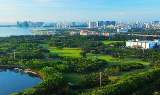 青岛城市绿化率，全国十大绿化率城市