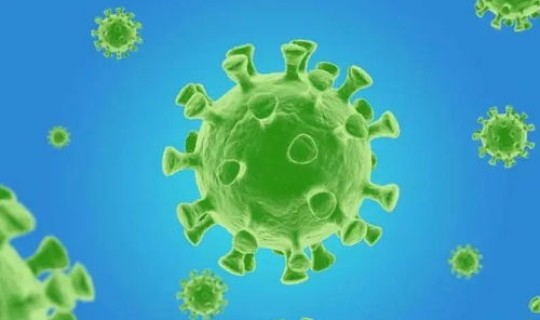 茂名新冠肺炎疫情？肺炎病毒