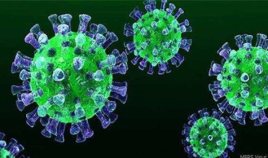 北京通州发现新型冠状病毒(北京新一轮病毒)