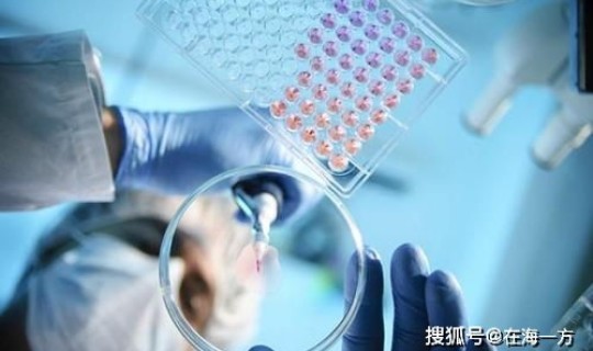 北京朝阳区感染者行动轨迹 北京最近流行什么病毒感染