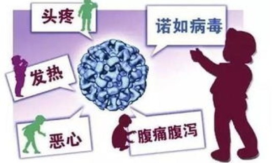 南京德尔塔病毒感染人数 诺如病毒感染