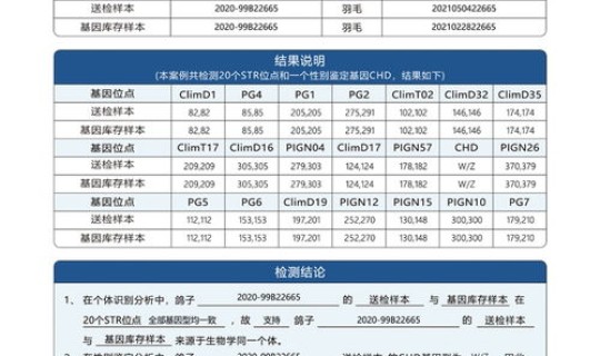 天津核酸结果多长时间下来，流感核酸检测 多长时间