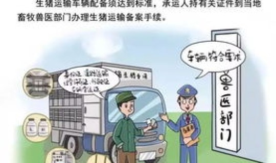 广州加强疫情防控政策措施方案，疫情期间出台了哪些政策