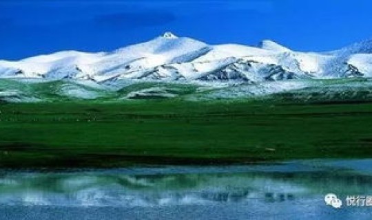 新疆天山冰川牧场，新疆有牧场吗？