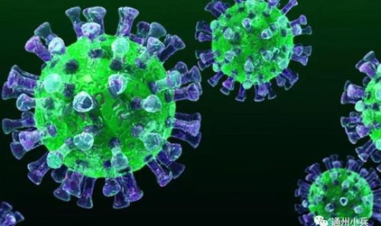 北京现有新冠病毒多少例了？北京新发现一例新冠