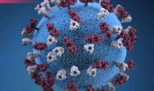 江苏疫情传播源头？江苏出现什么病毒