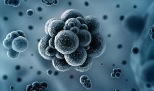 南京感染的是德尔塔病毒吗 ，蓝耳病毒是什么病毒