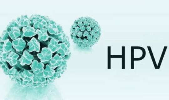 感染人数增加(hpv感染的人群多吗)