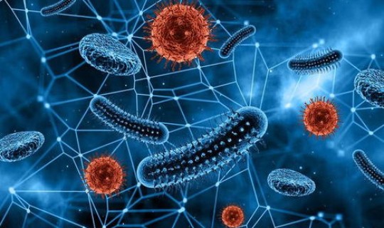 病毒变异对人类的影响论文(病毒变异是什么意思)