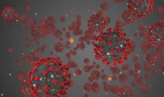 日本儿童感染新冠病毒，如果儿童感染新冠病毒会有什么症状呢