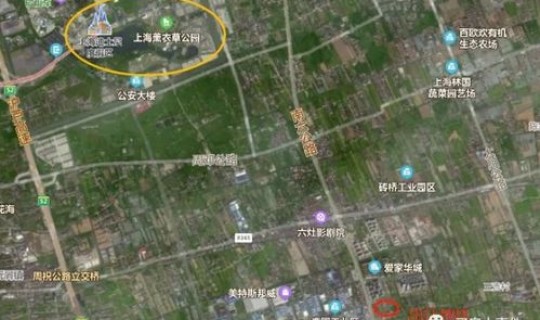 浦东机场连夜做核酸的地方(浦东机场有医院吗)