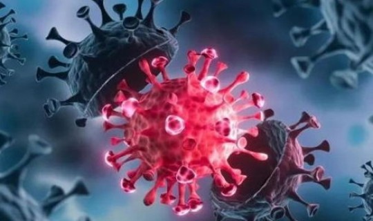 德尔塔新冠变异病毒(新冠德尔塔之前的病毒叫什么)