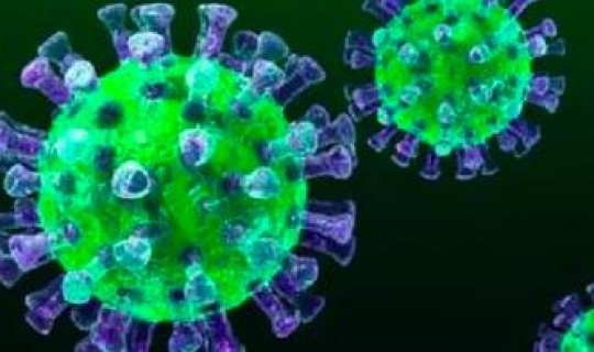 福建一列新型冠状病毒感染，冠状病毒的症状