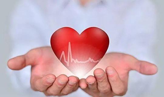 中国的心脏地带，中国的心脏正确答案