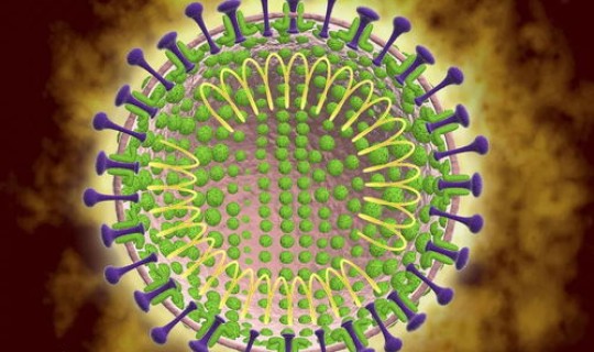 青岛出现一例新型冠状病毒病例？新型冠状病毒的传播途径是什么