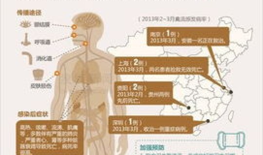 上海最近流感情况？得了禽流感会死吗