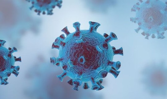 当前没有新冠病毒的国家？现在世界上哪些国家还没有感染新冠病毒