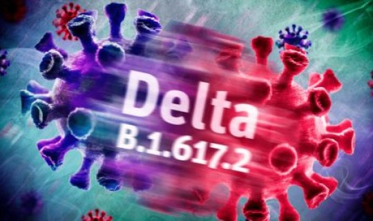 德尔塔病毒全球爆发，德尔塔已成为全球疫情最主要的毒株