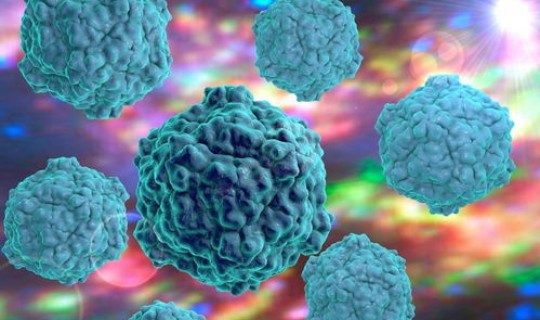 以后还有病毒吗最新消息(新冠病毒去哪了它会消失吗)