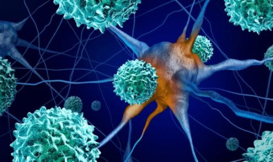 德尔塔变异毒株 特点(奥密克戎变异毒株症状)