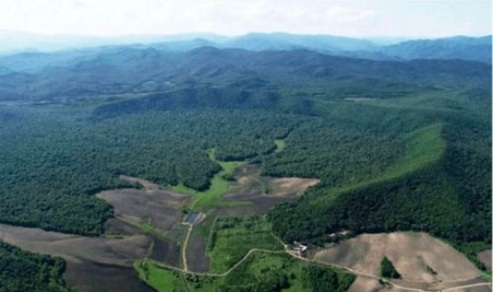 苏州疫情源头最新消息今天(苏州疫情的源头来自哪里)