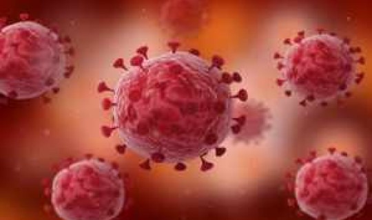 美国新冠病毒共死亡多少人(冠状病毒致死)