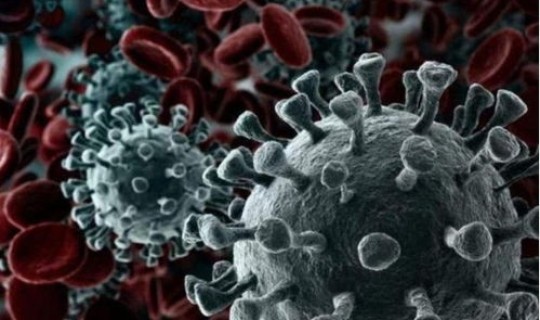 河南有没有新型冠状病毒肺炎，河南最新一例新冠肺炎