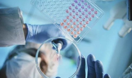 上海新型冠状病毒复阳了吗 新冠复阳会传染人吗