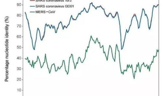 山东发现新型冠状病毒(新型冠状病毒最新消息)
