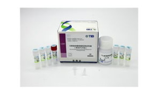 石家庄核算检测查询(b族链球菌核酸检测是查什么)