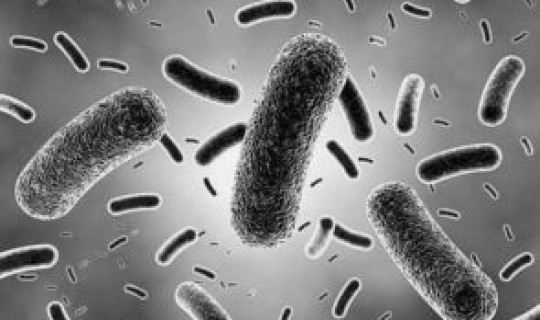 河南有病毒感染吗(病毒感染是怎么引起的)