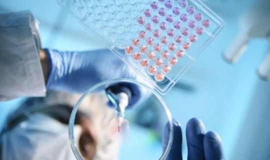 疫情开始有多少人被感染？病毒感染多少人