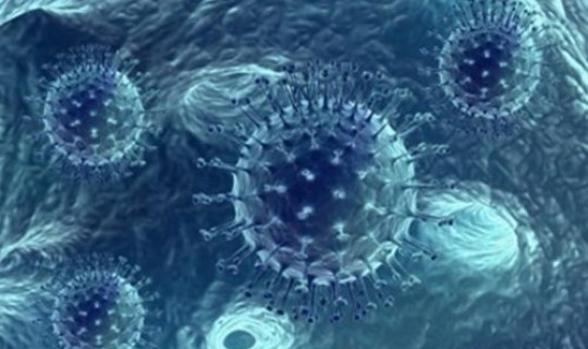 江苏疫情病毒名称(诺如病毒)