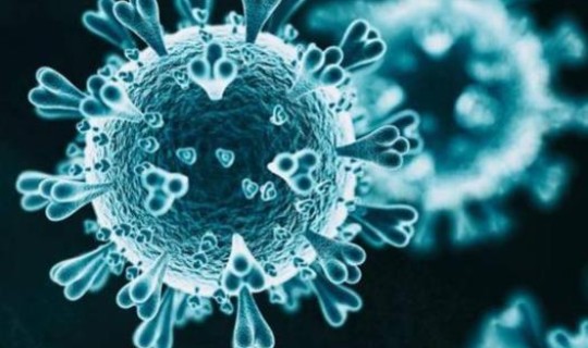 感染新型冠状病毒能活多长时间 新冠病毒最长可以活多久