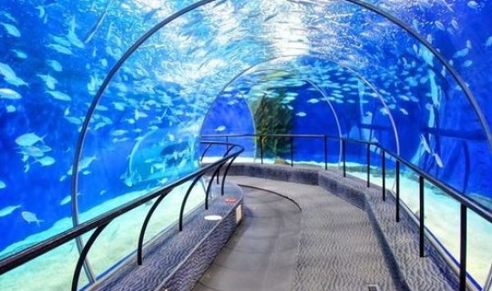 郑州隧道透水事故最新消息？琼州海底隧道最新消息