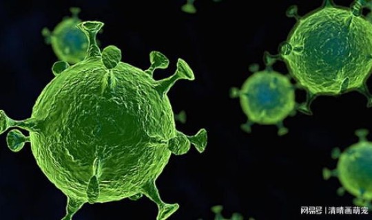 病毒变异越来越强吗？病毒是生物吗